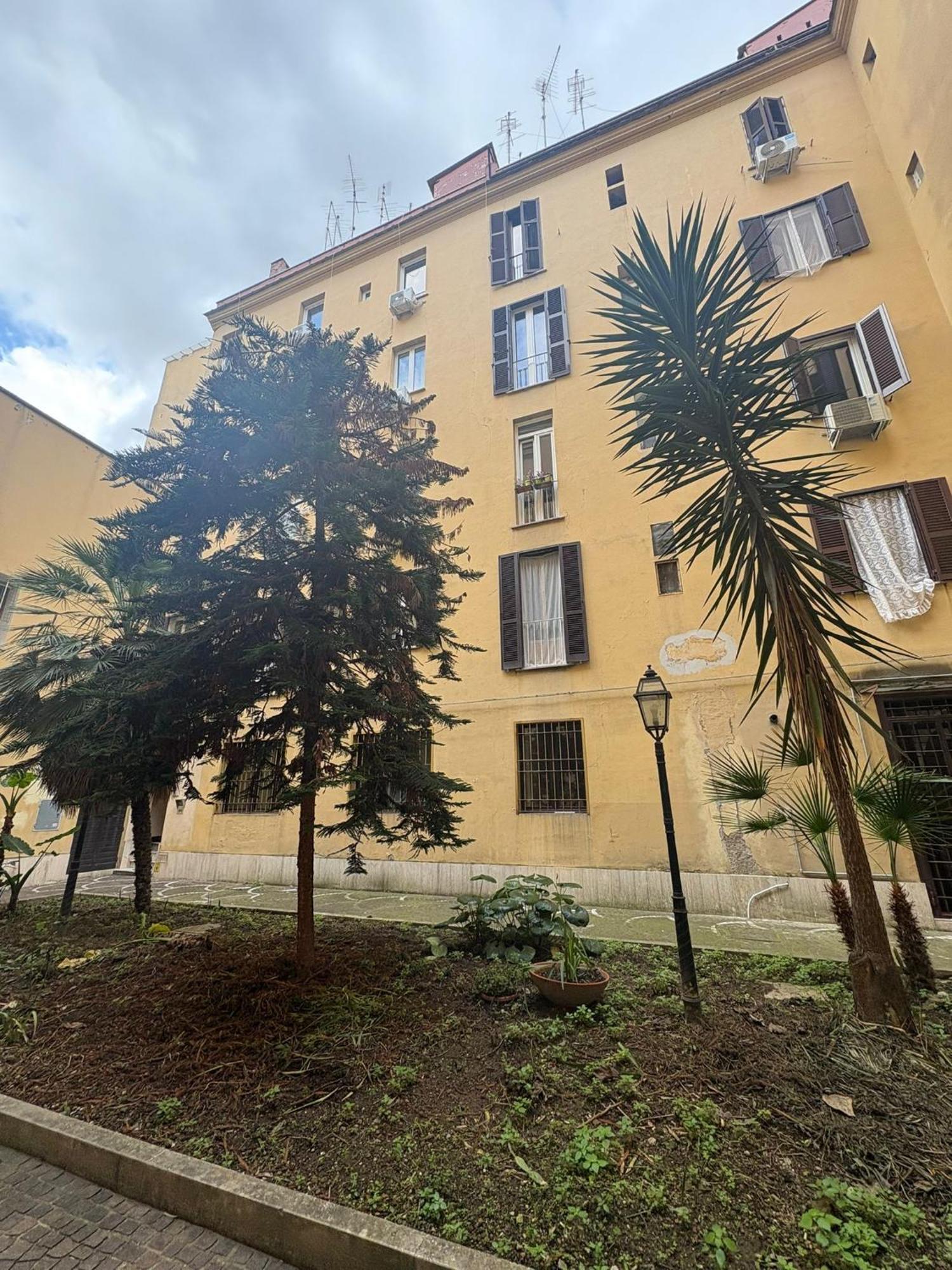David San Lorenzo * Rome