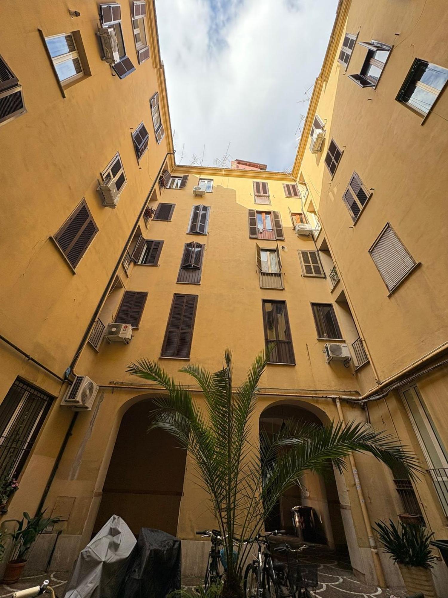 Appartement David San Lorenzo